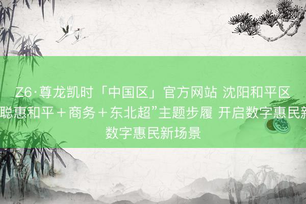Z6·尊龙凯时「中国区」官方网站 沈阳和平区举办“聪惠和平＋商务＋东北超”主题步履 开启数字惠民新场景