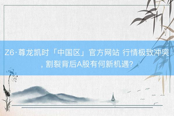Z6·尊龙凯时「中国区」官方网站 行情极致冲突, 割裂背后A股有何新机遇?