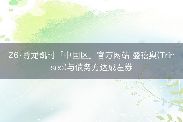 Z6·尊龙凯时「中国区」官方网站 盛禧奥(Trinseo)与债务方达成左券