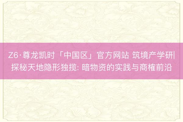 Z6·尊龙凯时「中国区」官方网站 筑境产学研|探秘天地隐形独揽: 暗物资的实践与商榷前沿
