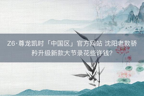 Z6·尊龙凯时「中国区」官方网站 沈阳老款骄矜升级新款大节录花些许钱？