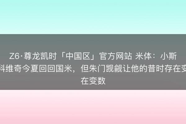 Z6·尊龙凯时「中国区」官方网站 米体：小斯坦科维奇今夏回回国米，但朱门觊觎让他的昔时存在变数