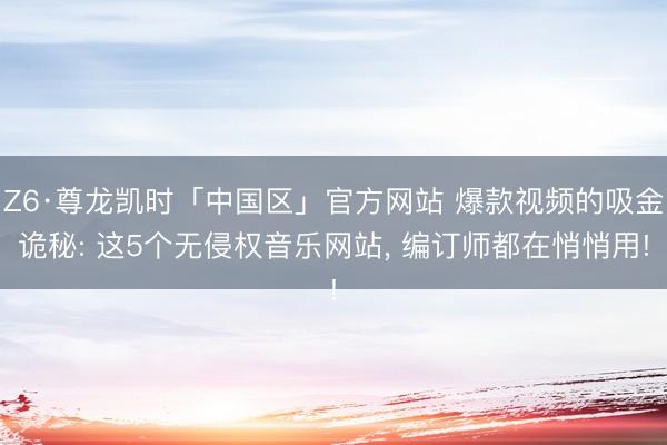 Z6·尊龙凯时「中国区」官方网站 爆款视频的吸金诡秘: 这5个无侵权音乐网站， 编订师都在悄悄用!