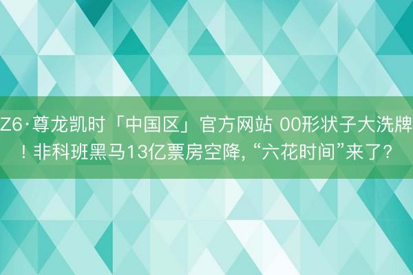 Z6·尊龙凯时「中国区」官方网站 00形状子大洗牌! 非科班黑马13亿票房空降， “六花时间”来了?