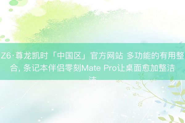 Z6·尊龙凯时「中国区」官方网站 多功能的有用整合， 条记本伴侣零刻Mate Pro让桌面愈加整洁