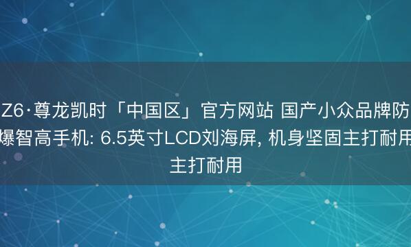 Z6·尊龙凯时「中国区」官方网站 国产小众品牌防爆智高手机: 6.5英寸LCD刘海屏， 机身坚固主打耐用
