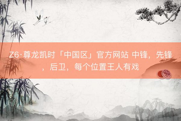 Z6·尊龙凯时「中国区」官方网站 中锋,先锋,后卫,每个位置王人有戏
