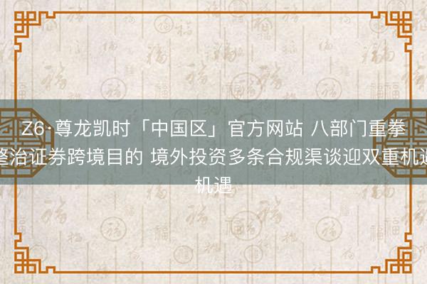 Z6·尊龙凯时「中国区」官方网站 八部门重拳整治证券跨境目的 境外投资多条合规渠谈迎双重机遇