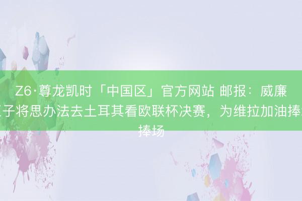 Z6·尊龙凯时「中国区」官方网站 邮报：威廉王子将思办法去土耳其看欧联杯决赛，为维拉加油捧场