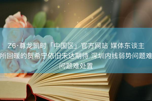 Z6·尊龙凯时「中国区」官方网站 媒体东谈主：有所回暖的贺希宁依旧未达期待 深圳内线弱势问题难处置