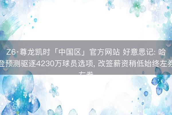 Z6·尊龙凯时「中国区」官方网站 好意思记: 哈登预测驱逐4230万球员选项， 改签薪资稍低始终左券