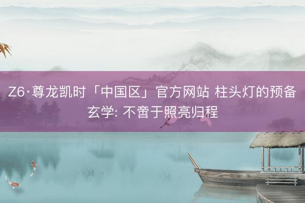 Z6·尊龙凯时「中国区」官方网站 柱头灯的预备玄学: 不啻于照亮归程