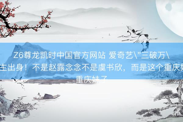 Z6尊龙凯时中国官方网站 爱奇艺