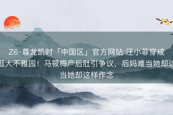 Z6·尊龙凯时「中国区」官方网站 汪小菲穿成亲降服逛大不雅园！马筱梅产后肚引争议，后妈难当她却这样作念