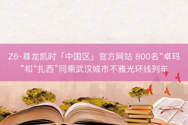 Z6·尊龙凯时「中国区」官方网站 800名“卓玛”和“扎西”同乘武汉城市不雅光环线列车