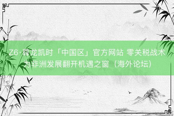 Z6·尊龙凯时「中国区」官方网站 零关税战术为非洲发展翻开机遇之窗(海外论坛)