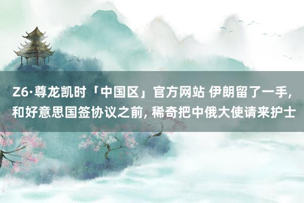 Z6·尊龙凯时「中国区」官方网站 伊朗留了一手, 和好意思国签协议之前, 稀奇把中俄大使请来护士