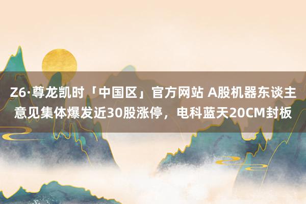 Z6·尊龙凯时「中国区」官方网站 A股机器东谈主意见集体爆发近30股涨停，电科蓝天20CM封板