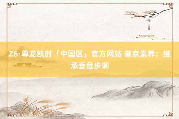 Z6·尊龙凯时「中国区」官方网站 普京素养：继承垂危步调