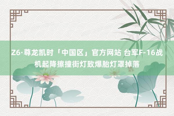 Z6·尊龙凯时「中国区」官方网站 台军F-16战机起降擦撞街灯致爆胎灯罩掉落