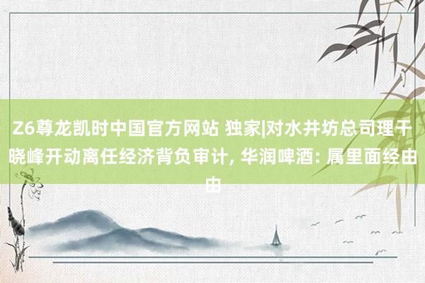 Z6尊龙凯时中国官方网站 独家|对水井坊总司理干晓峰开动离任经济背负审计， 华润啤酒: 属里面经由