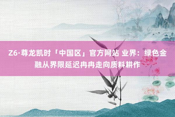 Z6·尊龙凯时「中国区」官方网站 业界：绿色金融从界限延迟冉冉走向质料耕作