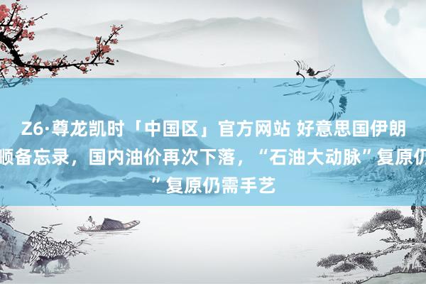 Z6·尊龙凯时「中国区」官方网站 好意思国伊朗签署和顺备忘录,国内油价再次下落,“石油大动脉”复原仍需手艺